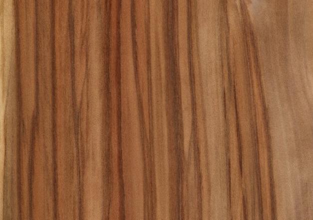 Eukalyptusholz: Eigenschaften & Pflege - meingartenversand.de