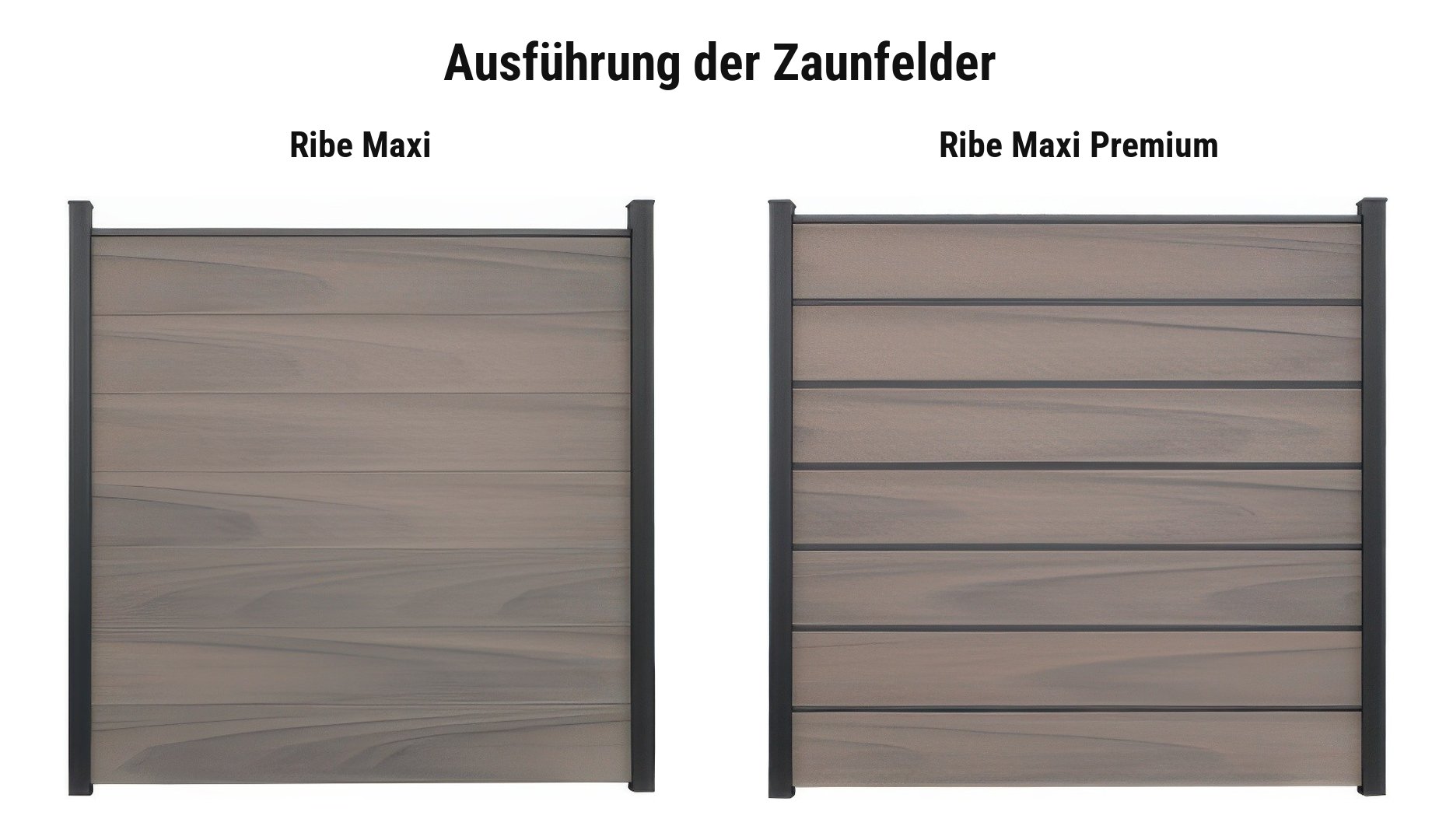Ausführung BPC Sichtschutzwand Ribe Maxi: Ribe Maxi oder Ribe Maxi Premium