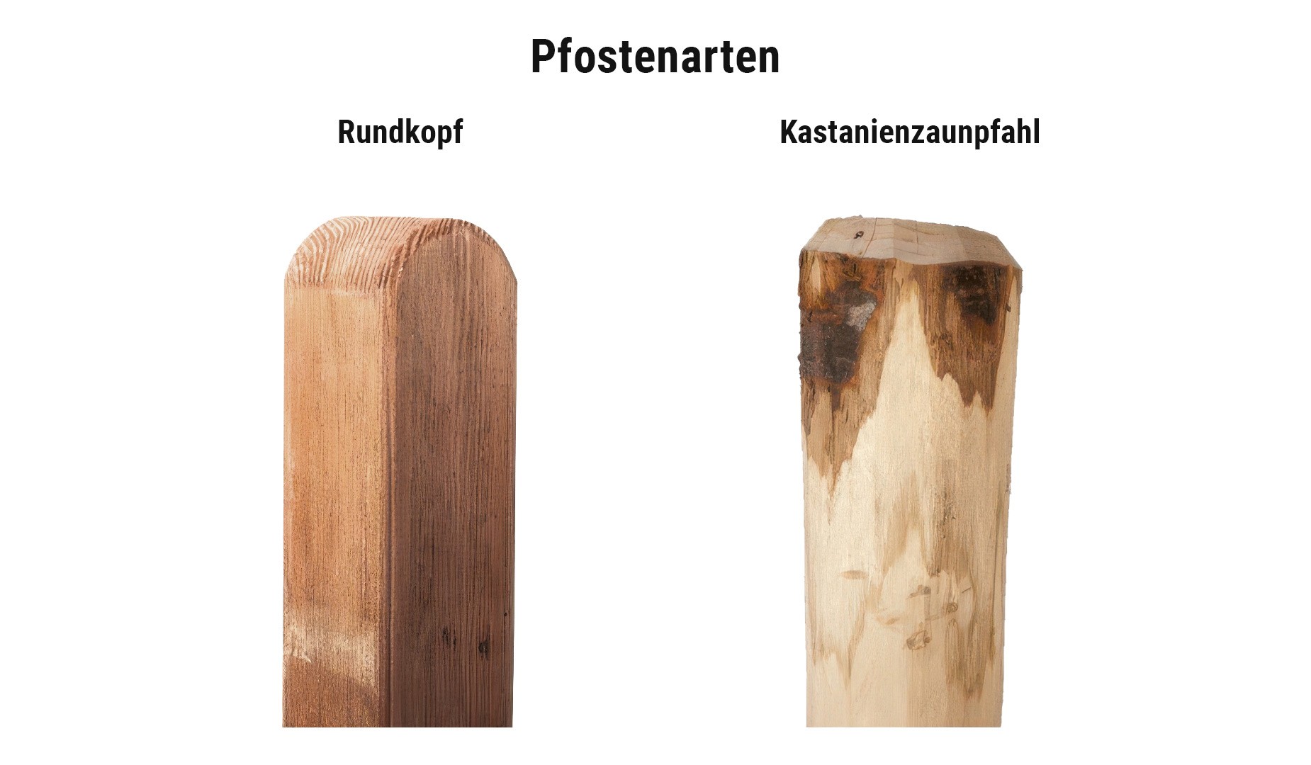 Pfostenarten Haselnusszaun: Kastanienzaunpfahl zum Einschlagen oder Rundkopfpfosten zum Einbetonieren