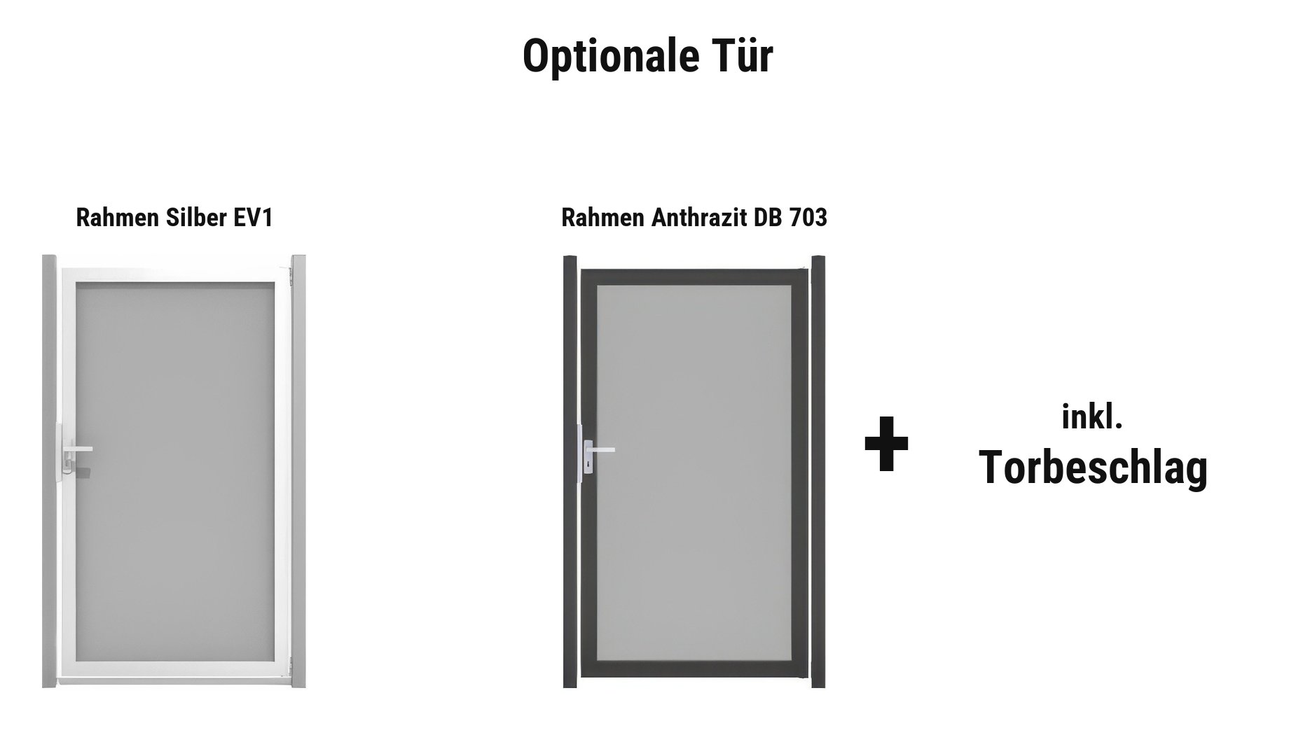 Tür Farum: ca. 100 x 180 cm, DIN universal, Rahmen Silber EV1 oder Anthrazit DB 703