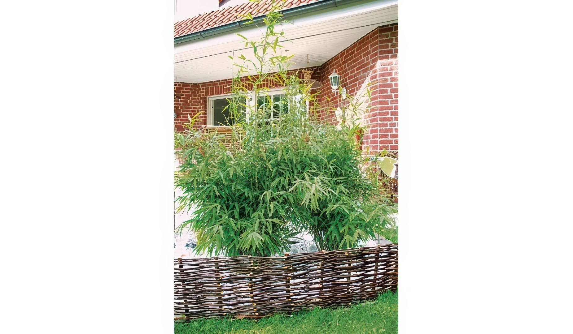 Beeteinfassung Weide