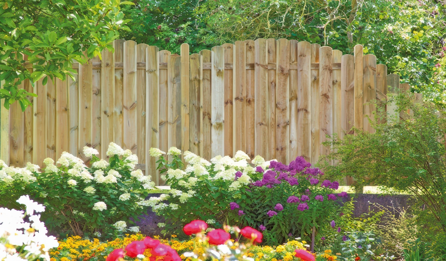 52+ Zaun Und Hecke Kombiniert, Die entscheidung zwischen zaun und