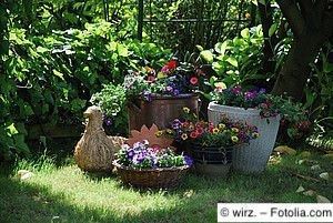 Blumenkasten Treppe Wedel online kaufen